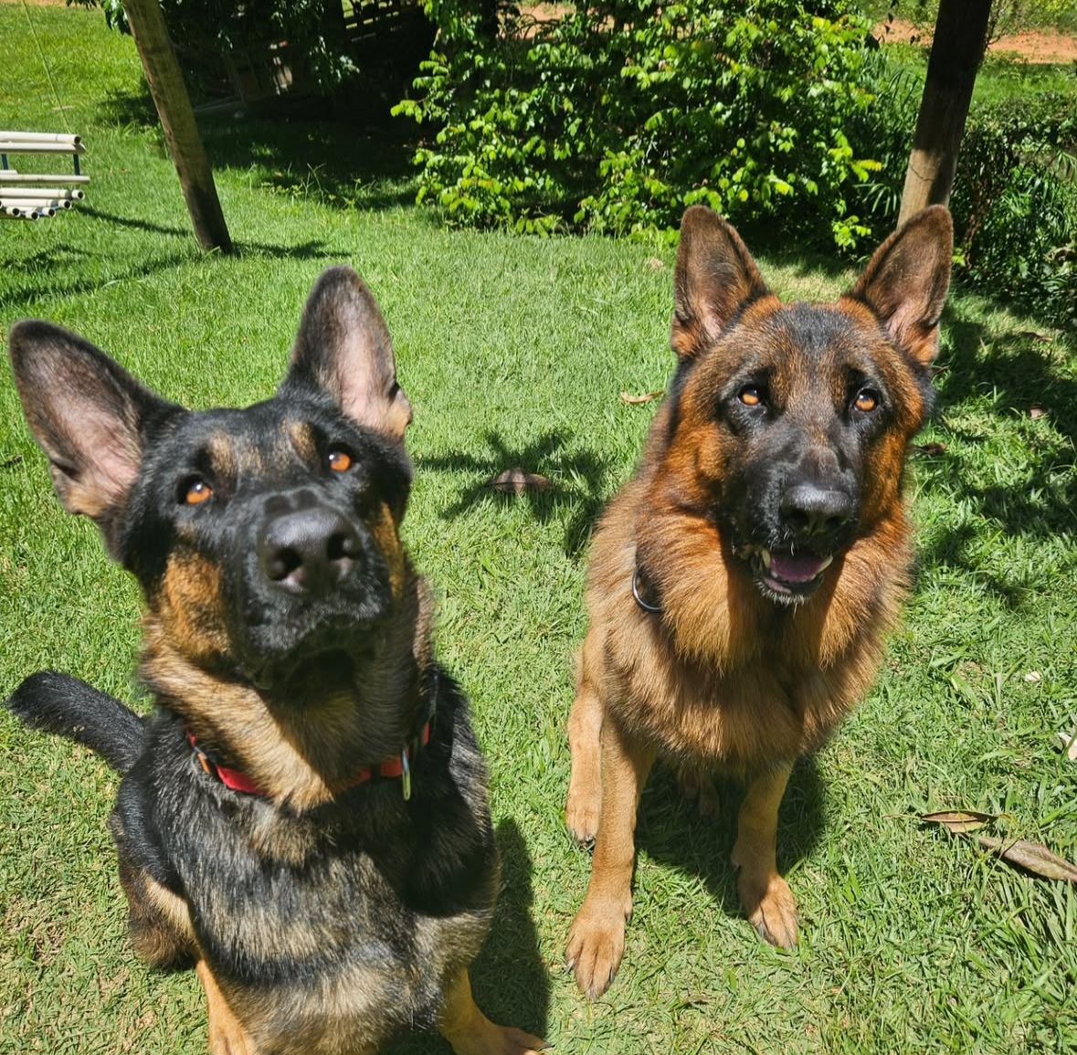 Sítio das Bromélias 5